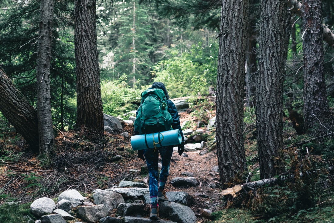 Hiker with a technical backpack walking along a forest trail, representing the functional durability of pre-owned gorpcore and outdoor gear