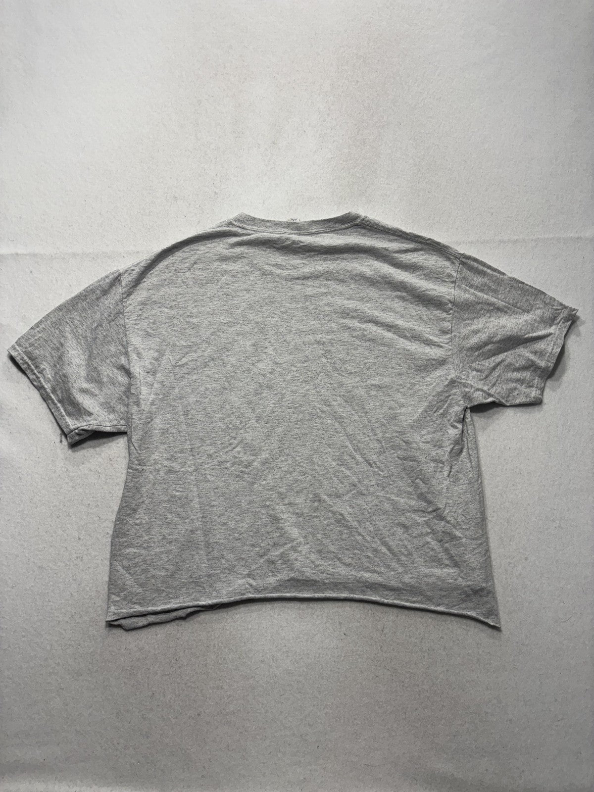 Tampa Bay Buccaneers Shirt Mens Large Gray NFL Football Bucs Pirate Graphic Tee