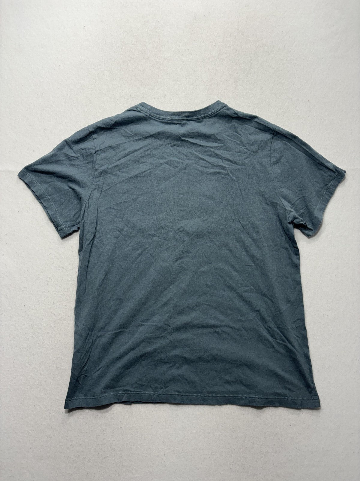 The North Face Shirt Womens Large Blue Bear Yosemite Graphic Tee