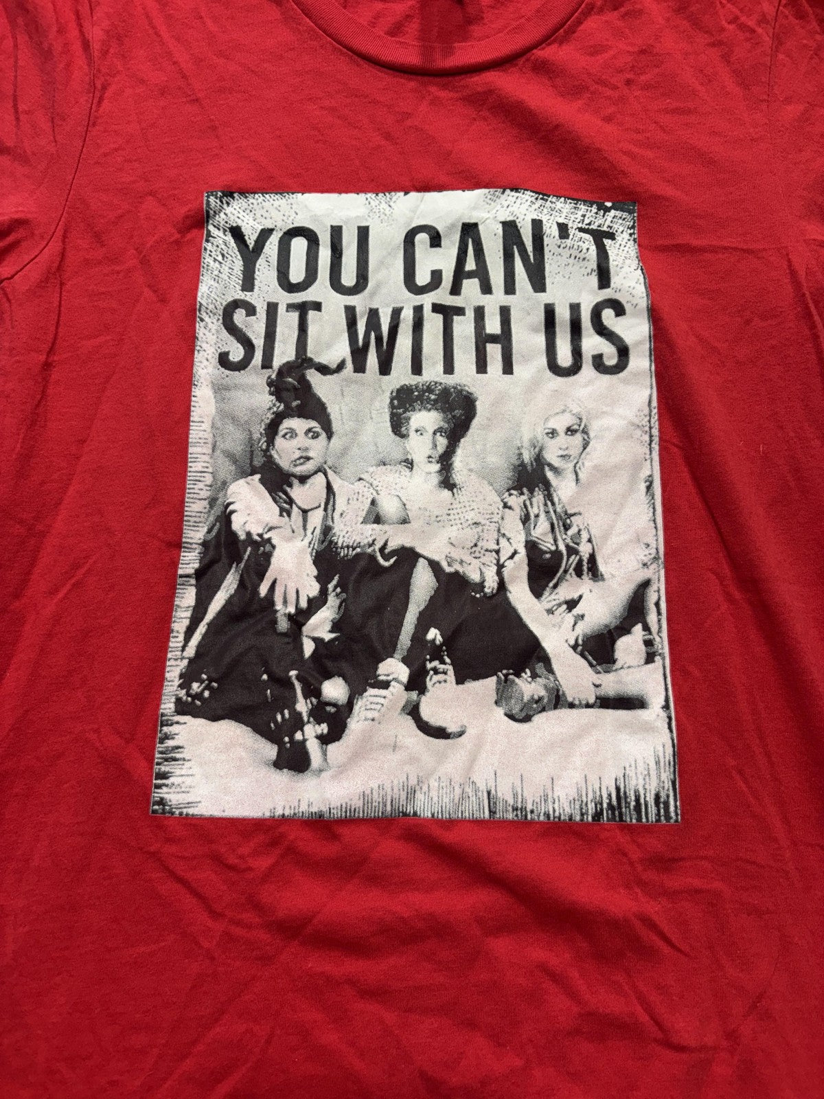 Bella + Canvas Shirt Womens S Red Crew Neck You Can't Sit With Us Graphic Tee